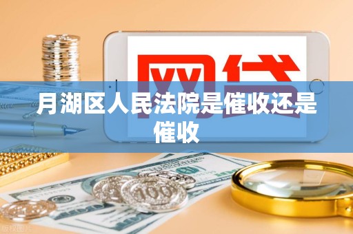 月湖区人民法院是催收还是催收