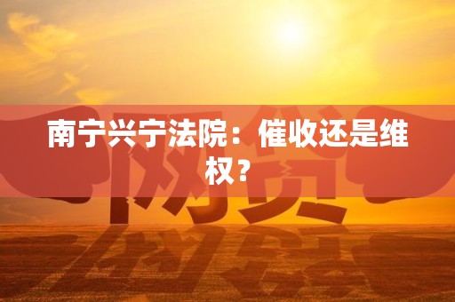 南宁兴宁法院：催收还是维权？