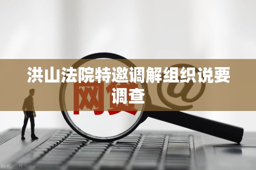 洪山法院特邀调解组织说要调查 洪山法院特邀调解组织说要调查