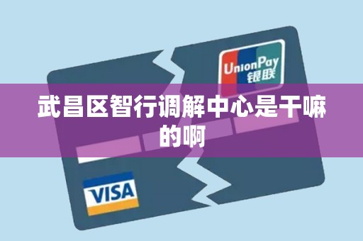武昌区智行调解中心是干嘛的啊