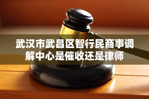 武汉市武昌区智行民商事调解中心是催收还是律师