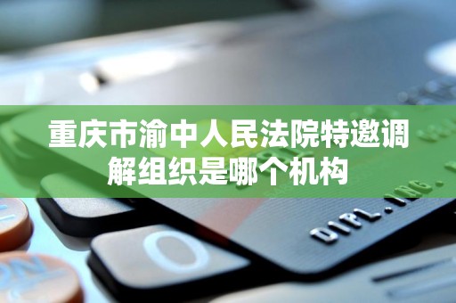 重庆市渝中人民法院特邀调解组织是哪个机构