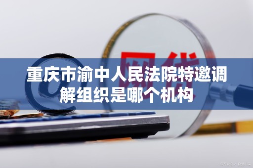 重庆市渝中人民法院特邀调解组织是哪个机构