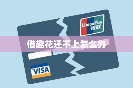 借趣花还不上怎么办