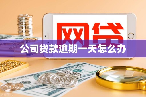 公司贷款逾期一天怎么办