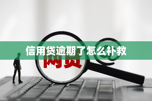信用贷逾期了怎么补救 信用贷逾期了怎么补救