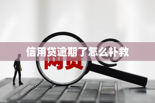 信用贷逾期了怎么补救 信用贷逾期了怎么补救
