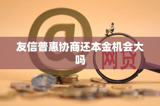 友信普惠协商还本金机会大吗