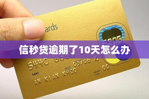 信秒贷逾期了10天怎么办 信秒贷逾期了10天怎么办
