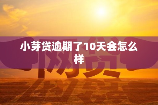 小芽贷逾期了10天会怎么样