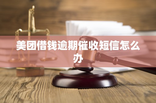 美团借钱逾期催收短信怎么办