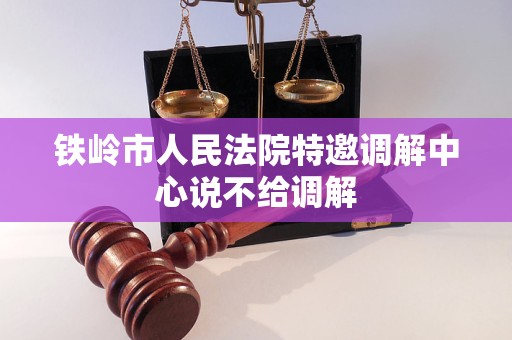 铁岭市人民法院特邀调解中心说不给调解 铁岭市人民法院特邀调解中心说不给调解