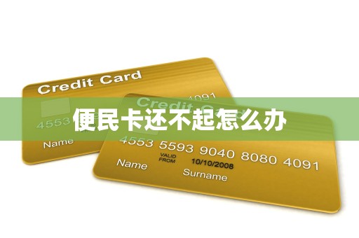 便民卡还不起怎么办