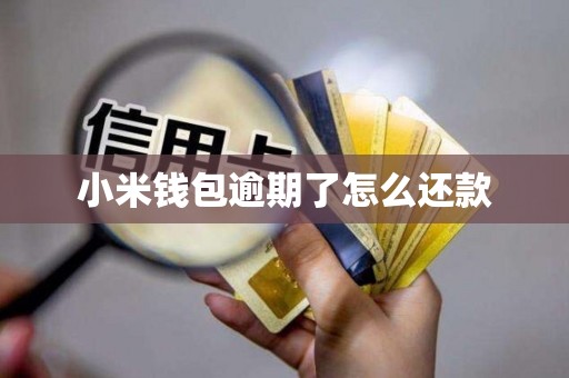 小米钱包逾期了怎么还款 小米钱包逾期了怎么还款