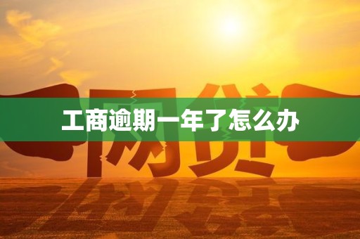 工商逾期一年了怎么办