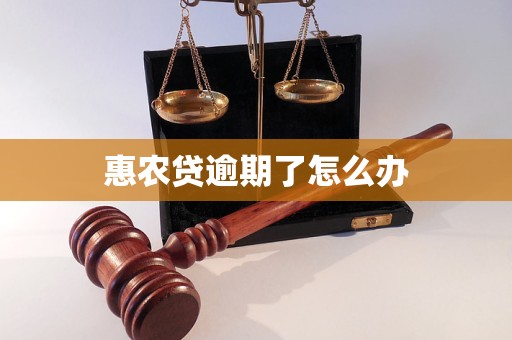 惠农贷逾期了怎么办