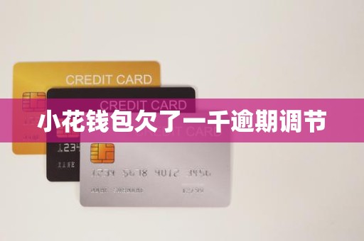 小花钱包欠了一千逾期调节