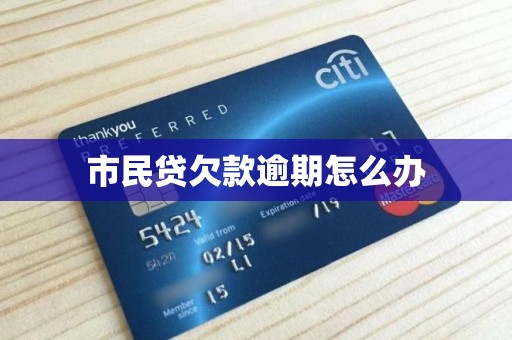 市民贷欠款逾期怎么办