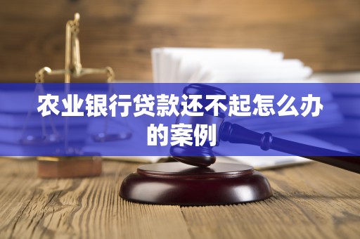 农业银行贷款还不起怎么办的案例 农业银行贷款还不起怎么办的案例