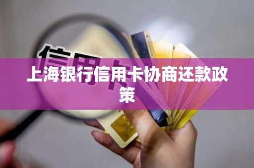 上海银行信用卡协商还款政策