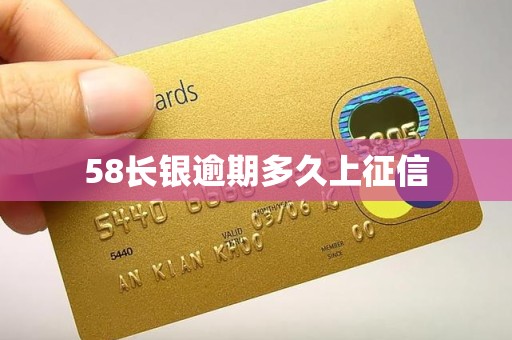 58长银逾期多久上征信