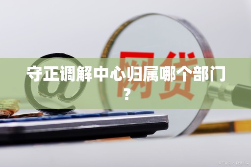 守正调解中心归属哪个部门？