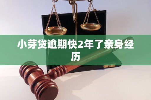 小芽贷逾期快2年了亲身经历