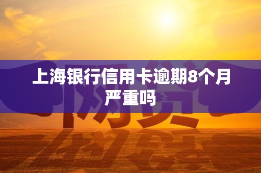 上海银行信用卡逾期8个月严重吗