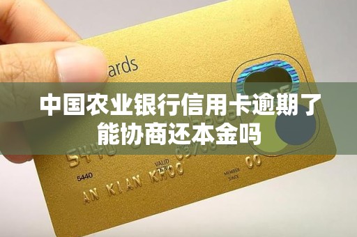 中国农业银行信用卡逾期了能协商还本金吗