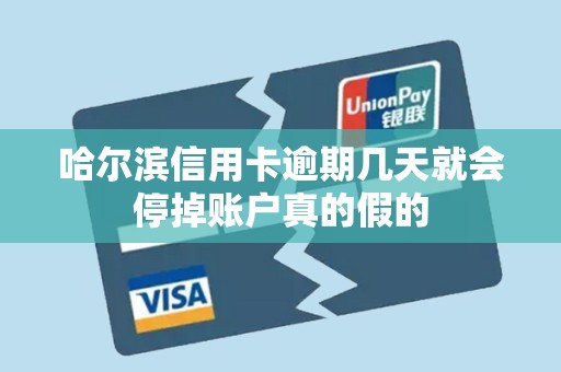 哈尔滨信用卡逾期几天就会停掉账户真的假的 哈尔滨信用卡逾期几天就会停掉账户真的假的