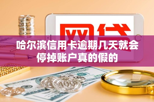 哈尔滨信用卡逾期几天就会停掉账户真的假的 哈尔滨信用卡逾期几天就会停掉账户真的假的