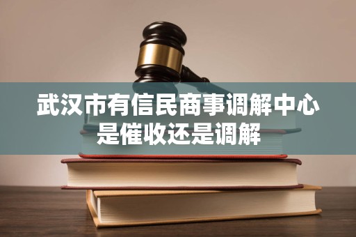 武汉市有信民商事调解中心是催收还是调解
