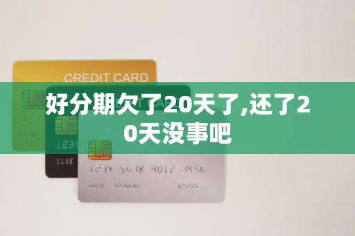 好分期欠了20天了,还了20天没事吧 好分期欠了20天了,还了20天没事吧