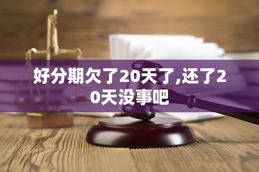 好分期欠了20天了,还了20天没事吧 好分期欠了20天了,还了20天没事吧