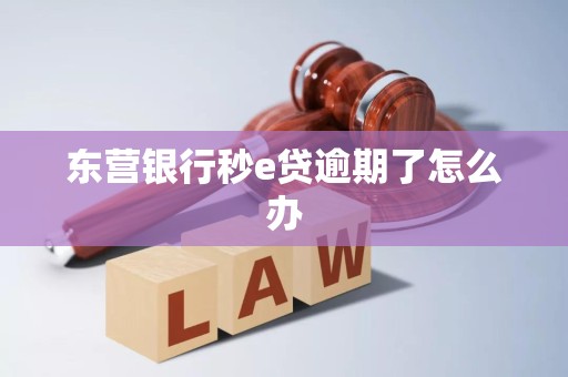 东营银行秒e贷逾期了怎么办 东营银行秒e贷逾期了怎么办