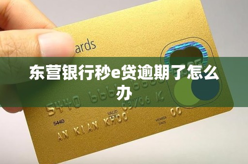 东营银行秒e贷逾期了怎么办 东营银行秒e贷逾期了怎么办