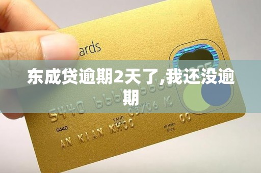 东成贷逾期2天了,我还没逾期 东成贷逾期2天了,我还没逾期