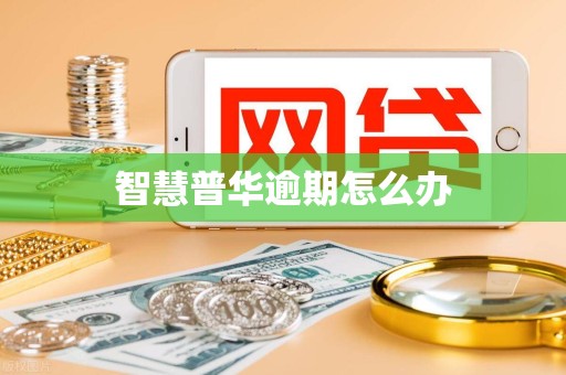 智慧普华逾期怎么办