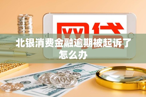 北银消费金融逾期被起诉了怎么办