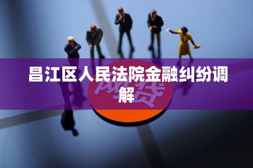昌江区人民法院金融纠纷调解