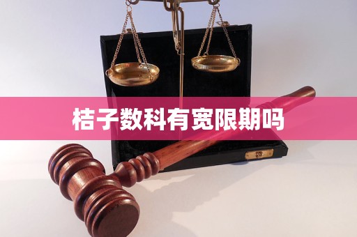 桔子数科有宽限期吗 桔子数科有宽限期吗