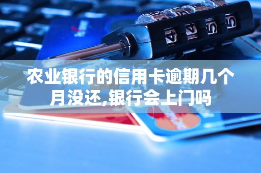 农业银行的信用卡逾期几个月没还,银行会上门吗 农业银行的信用卡逾期几个月没还,银行会上门吗