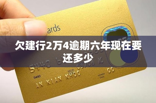 欠建行2万4逾期六年现在要还多少