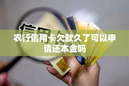 农行信用卡欠款久了可以申请还本金吗