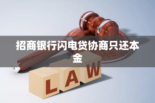 招商银行闪电贷协商只还本金