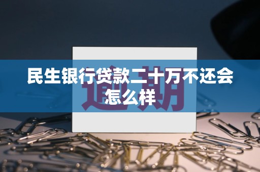 民生银行贷款二十万不还会怎么样