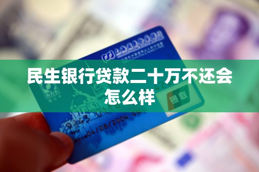 民生银行贷款二十万不还会怎么样
