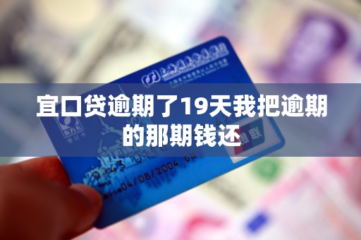 宜口贷逾期了19天我把逾期的那期钱还