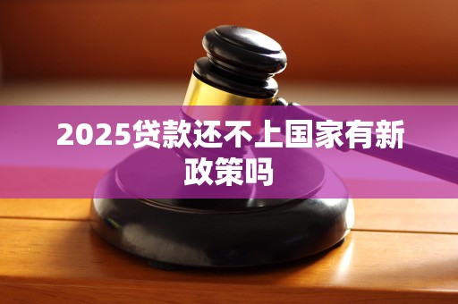2025贷款还不上国家有新政策吗