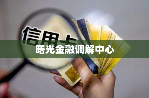 曙光金融调解中心